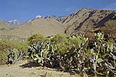 Inca Trail, Cusichaca Valley